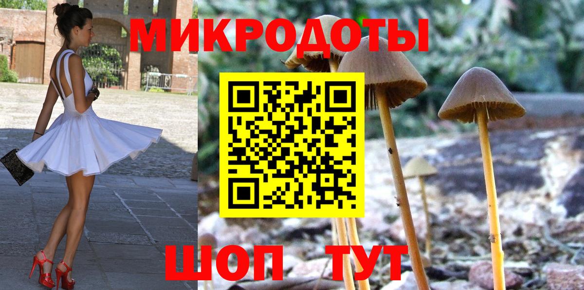 Галлюциногенные грибы Psilocybe Санкт-Петербург